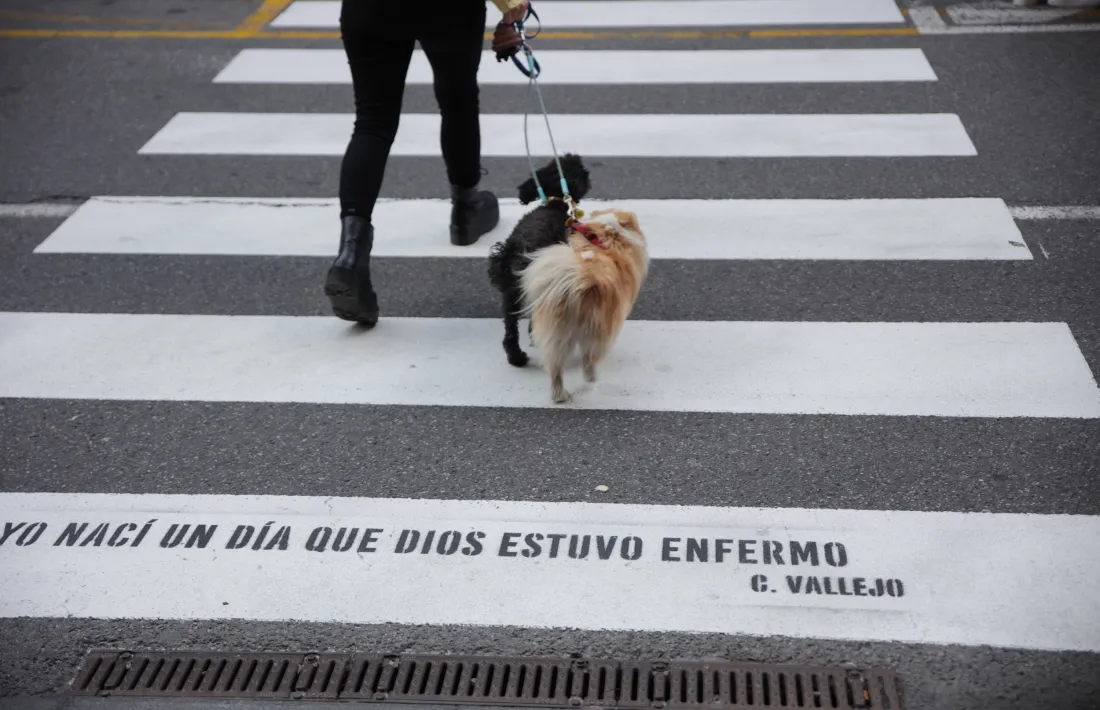 El peruà César Vallejo, a Doctor Nequi, el més lapidari: “Yo nací un día que Dios estuvo enfermo”.