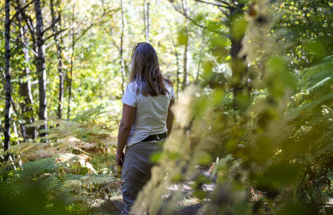 Els banys de bosc de Resiliència Lila s’han portat a terme d’octubre a maig.