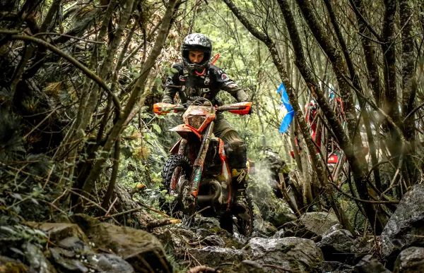 p._29_marc_font_xxmfserbia00003