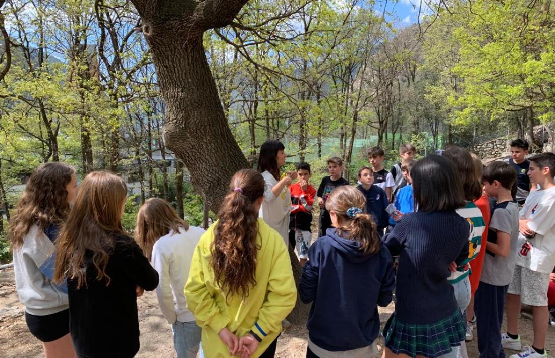 Els alumnes de primària del col·legi Mare Janer.