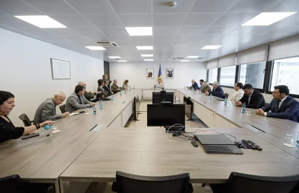 p._06_reunio_espot_directiva_cea_sfga