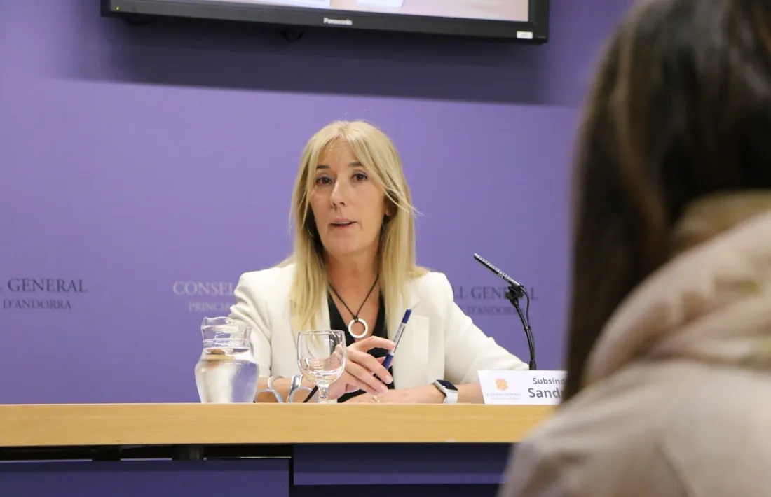 La subsíndica general, Sandra Codina, en la compareixença d'aquesta tarda.