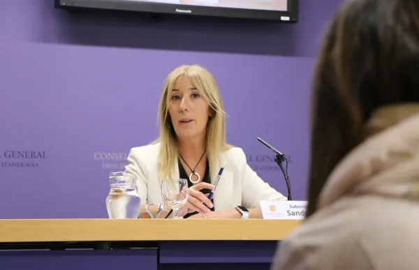 p._08_-_2_sandra_codina_consell_general