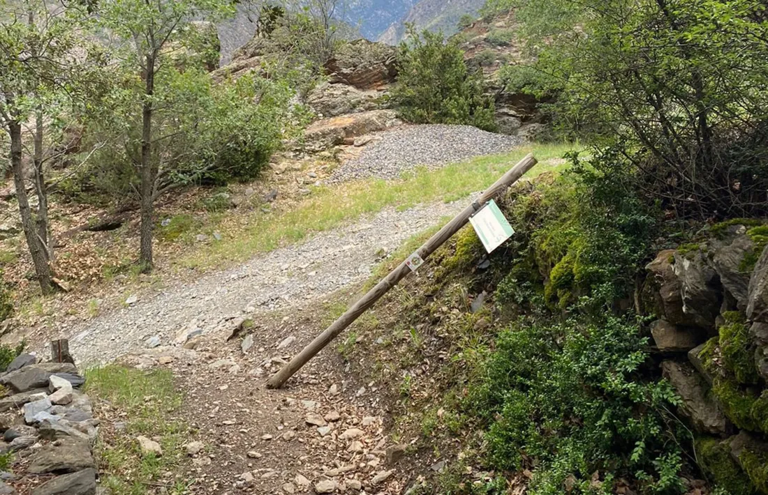 Un dels elements fets malbé.