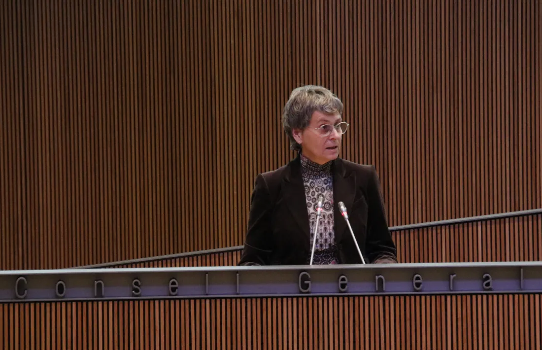 La presidenta suplent del grup parlamentari socialdemòcrata, Susanna Vela.