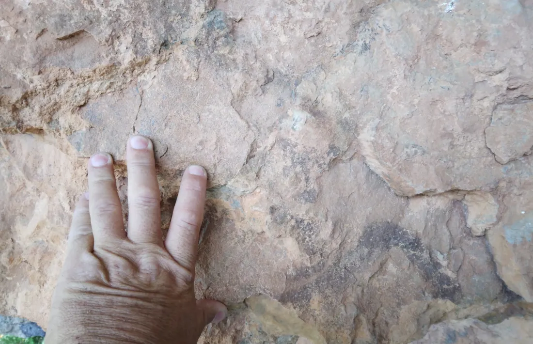 El suposat xaman, o potser xamana, és una figura d’uns 25 centímetres d’altura pintada a l’interior de la balma. No és difícil intuir-ne les cames eixarrancades, el tronc, els braços enlairats i el cap.