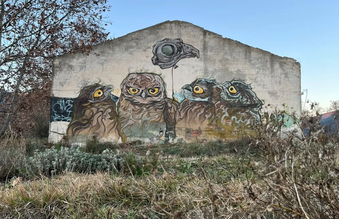 Als antics edificis abandonats del Pla de les Forques. 