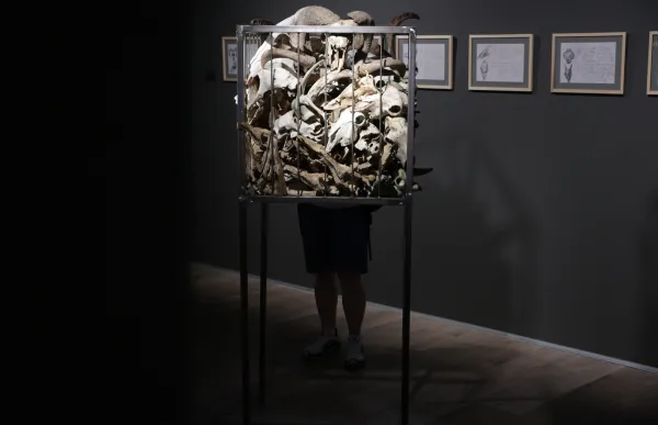 p._16.2_antropoce_-_facundo_santana