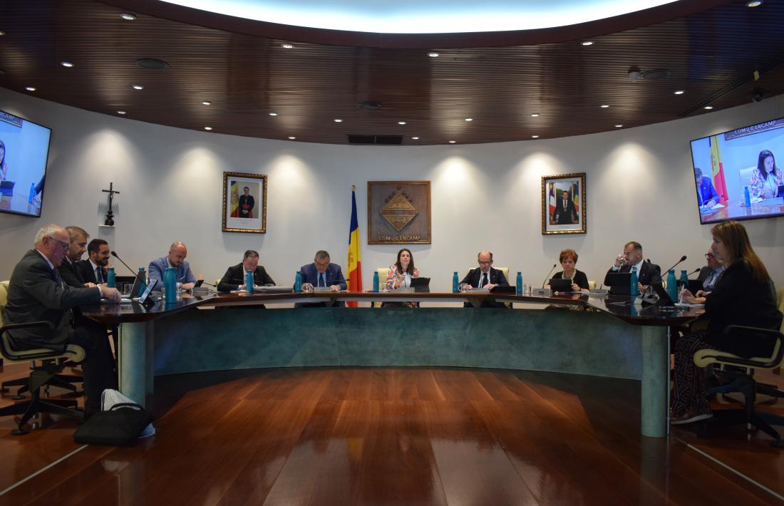 Un moment de la sessió de consell, avui.