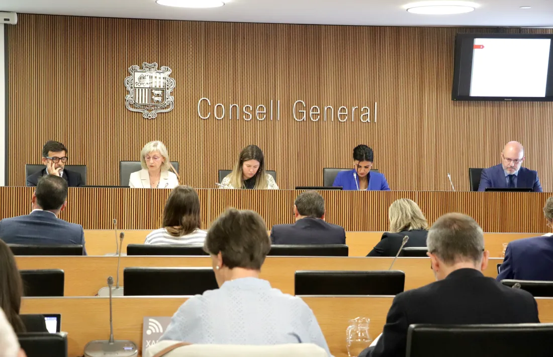 Cinca i Capdevila han comparegut avui davant la comissió de Seguiment i sostenibilitat de les pensions.