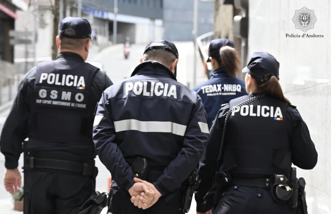 Efectius del cos de seguretat.