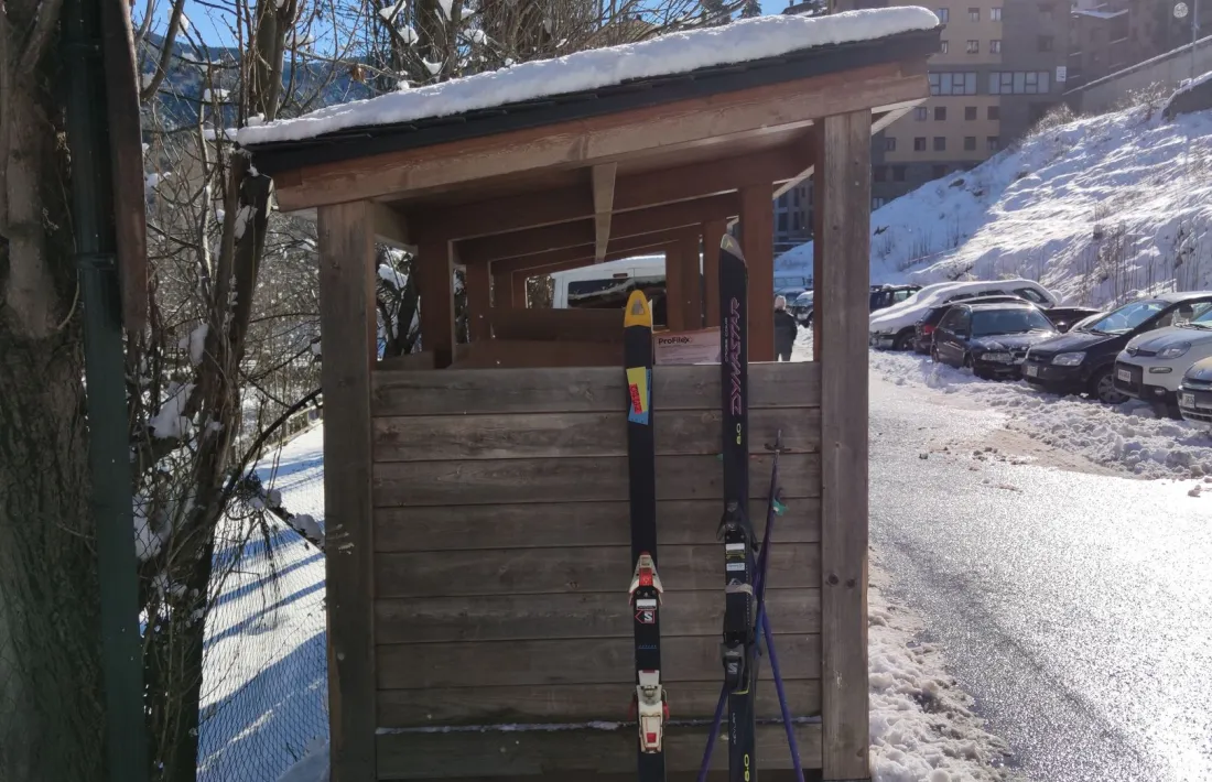 El fotògraf del BonDia ha retratat durant quatre anys aquest punt verd del camí ral de la Massana amb resultats sorprenents.
