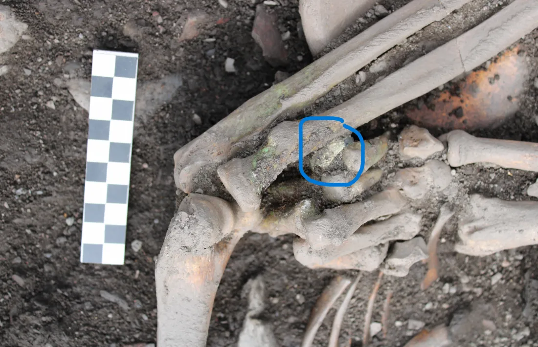 L’esquelet quasi sencer de l’individu exhumat al peu de les escales de Sant Joan de Caselles.