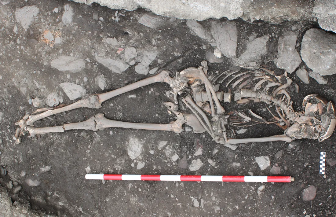 Vista general de l'esquelet, gairebé sencer i amb eixovar.