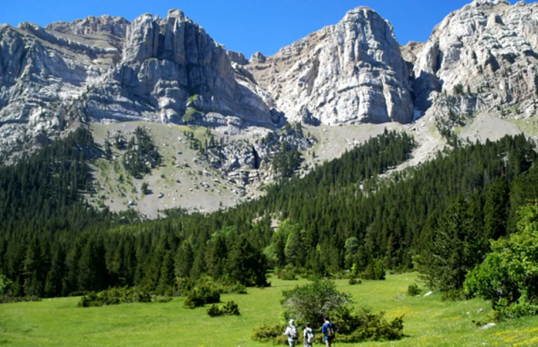El parc natural. 