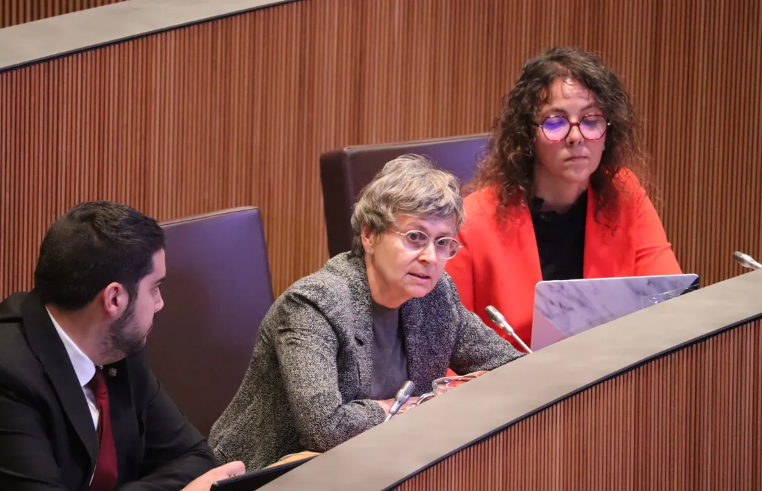 La socialdemòcrata Susanna Vela en una de les seves intervencions avui al Consell General.