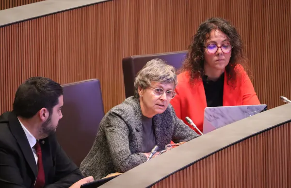 p._07_1_intervencio_vela_consell_general_ps