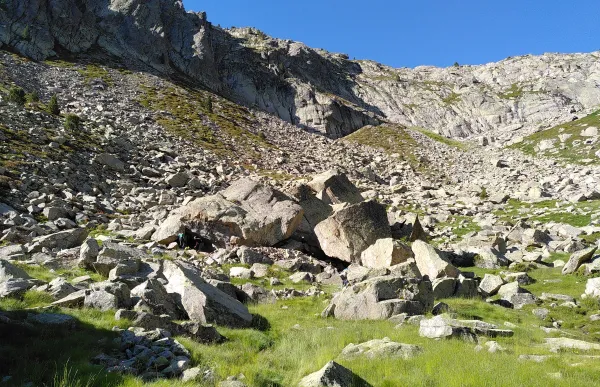 ff9a7e84-01af-4800-b8b9-7d5a6f47d7df