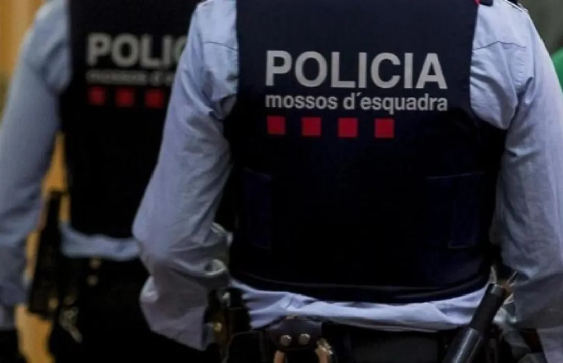 La investigació es va encetar el passat mes de març.