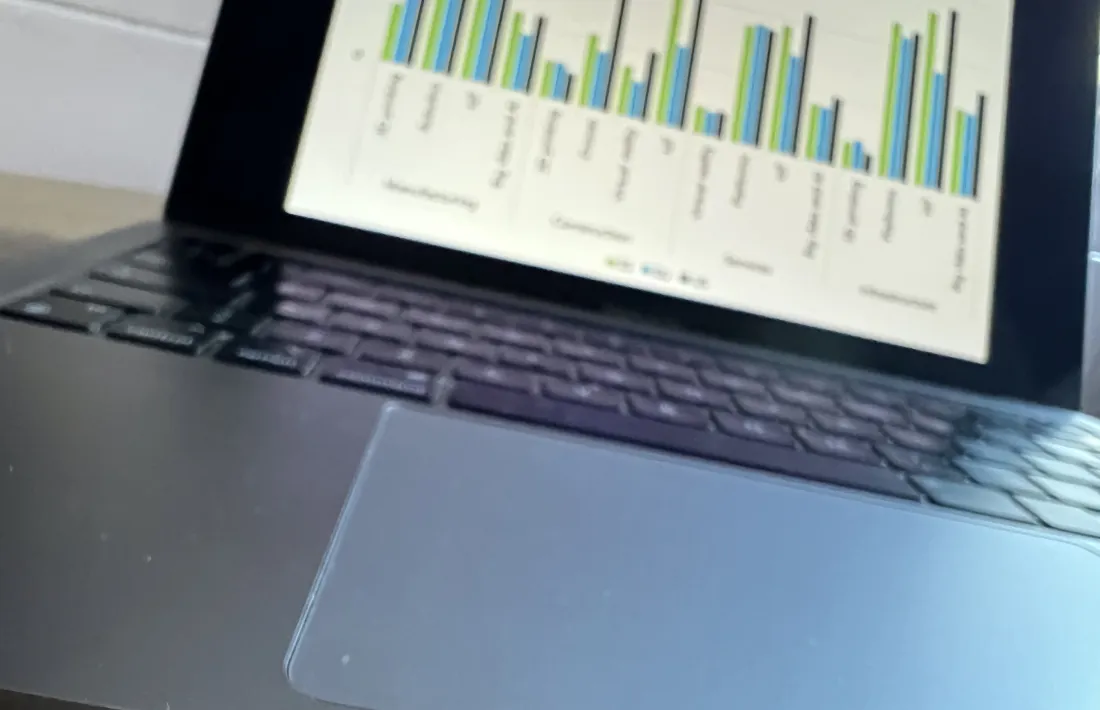 rimer pas del programa, amb un pressupost total de 300.000 euros, consisteix en una autodiagnosi. El segueixen l’assessorament personalitzat i la implementació de les solucions.