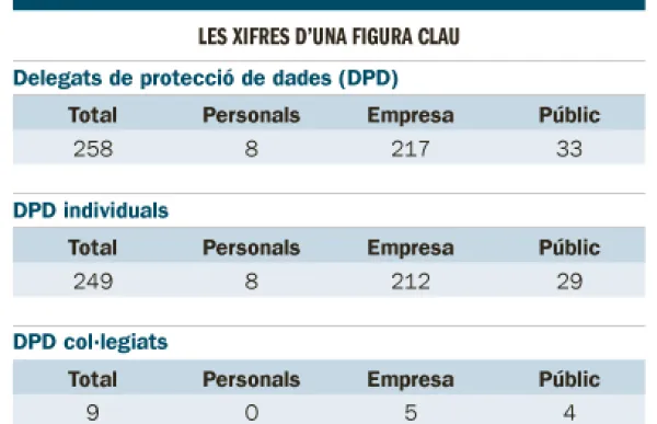 p._06_grafic_1