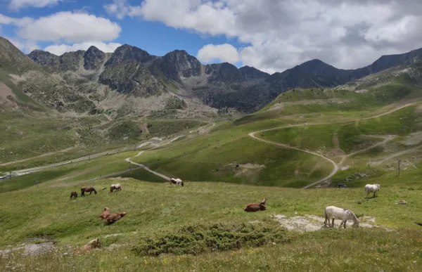 port_envalira_facundo_santana