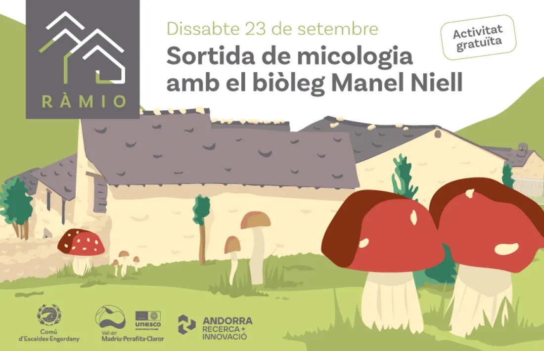 Anunci de la sortida de micologia.