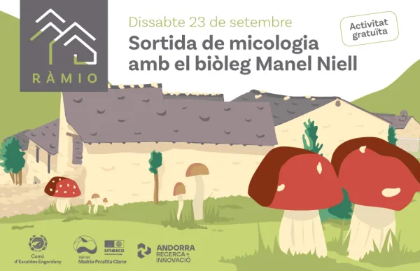 ramio_micologia_1
