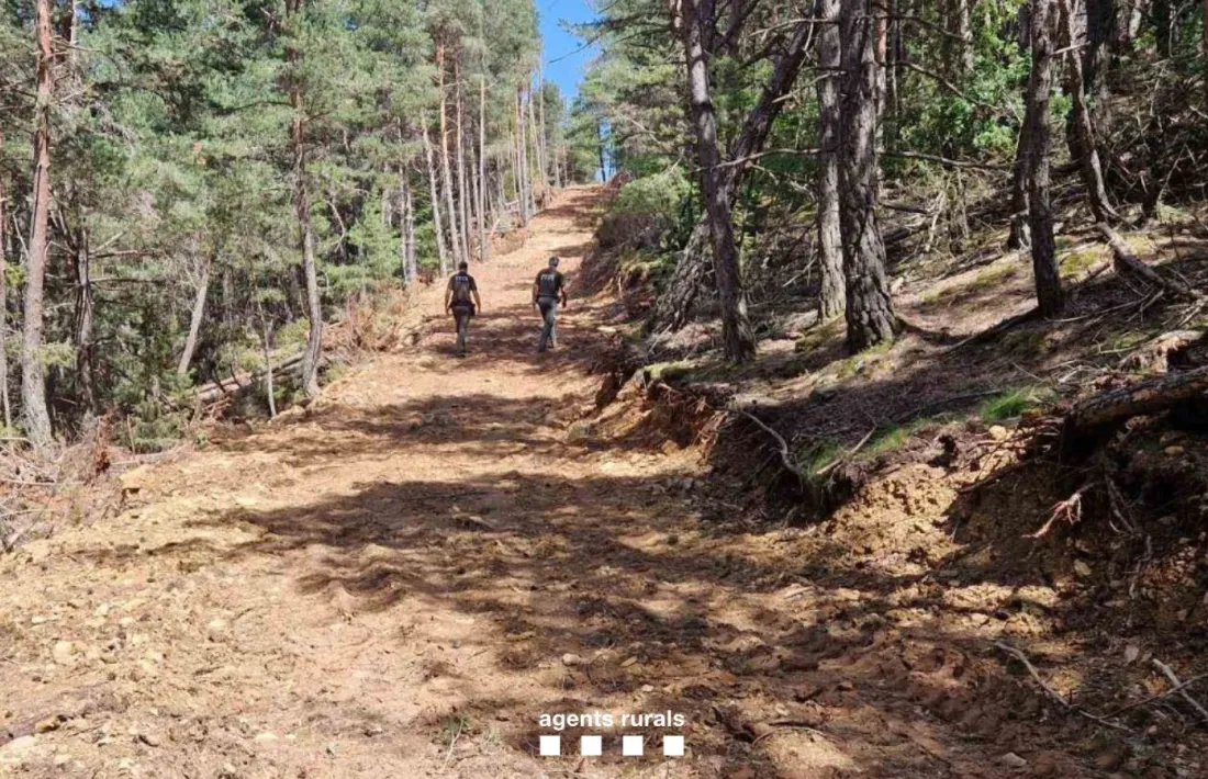 Imatge de la via oberta enmig del bosc sense autorització. 