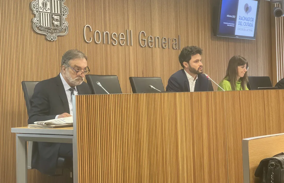 Un moment de la compareixença de Marc Vila a la comissió legislativa, avui.