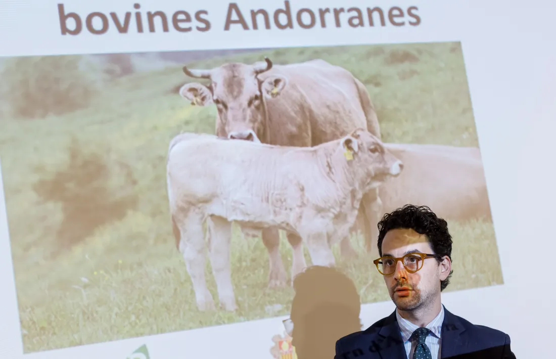 El ministre de Medi Ambient, Agricultura i Ramaderia, Guillem Casal, ahir durant la presentació a Andorra la Vella.