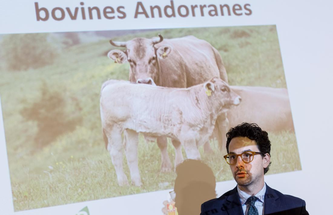 El ministre de Medi Ambient, Agricultura i Ramaderia, Guillem Casal, ahir durant la presentació a Andorra la Vella.