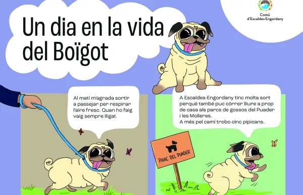 ampolles_gos