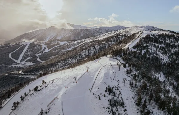 pal_arinsal