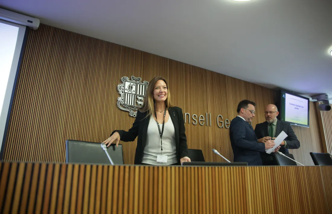 Mas ha comparegut aquesta tarda a la comissió legislativa per explicar les línies estratègiques del ministeri de Salut.