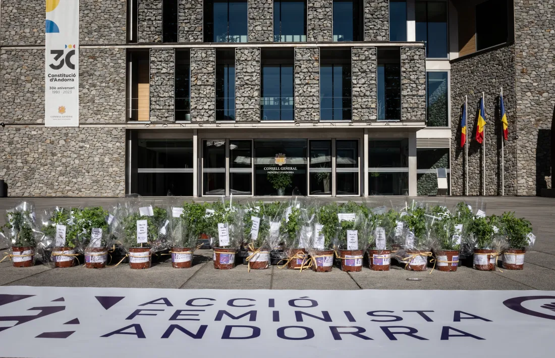 Les plantes de ruda també s'han deixat a la plaça del Consell General.