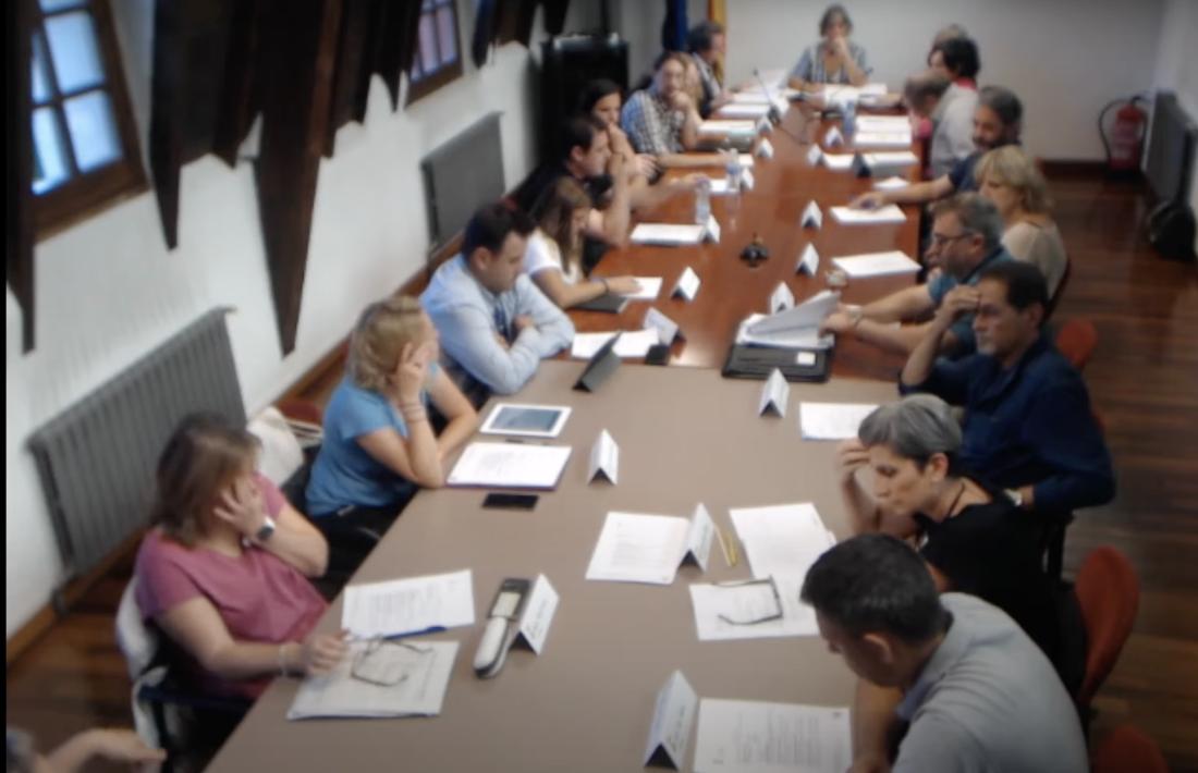 Imatge del ple del CCAU a través del canal de YouTube. 
