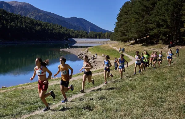 p._29_cros_engolasters_foto_twitter_faa