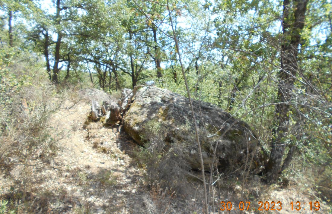 Un dels grans blocs morrènics, testimonis d’aquell remotíssim passat glacial. 