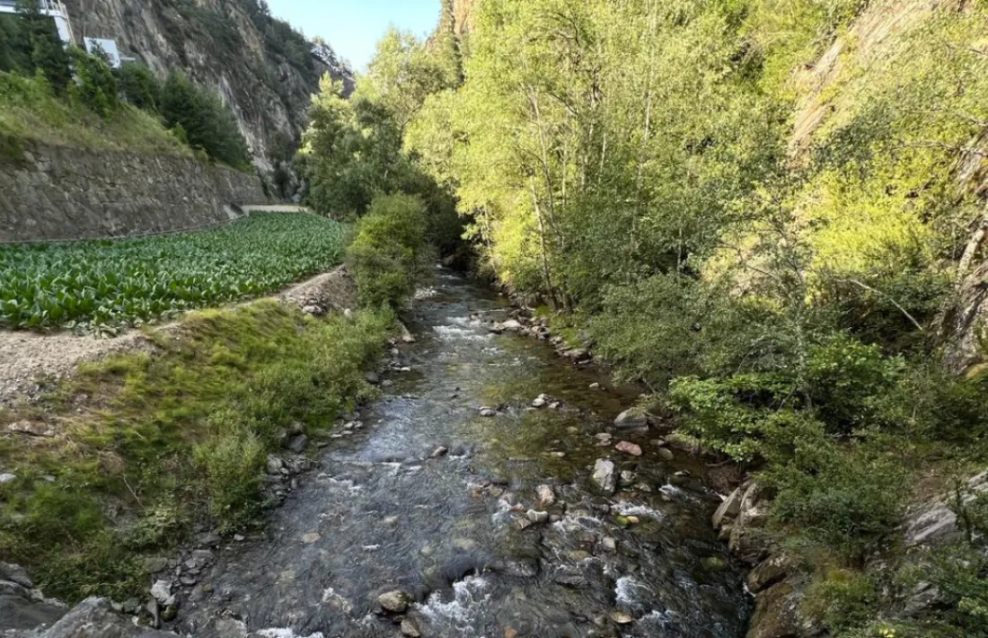 Aquesta és la vista del cabal del riu des del pont de Sant Antoni. Segons el Comú s’està en el nivell 2 del pla d’estalvi.