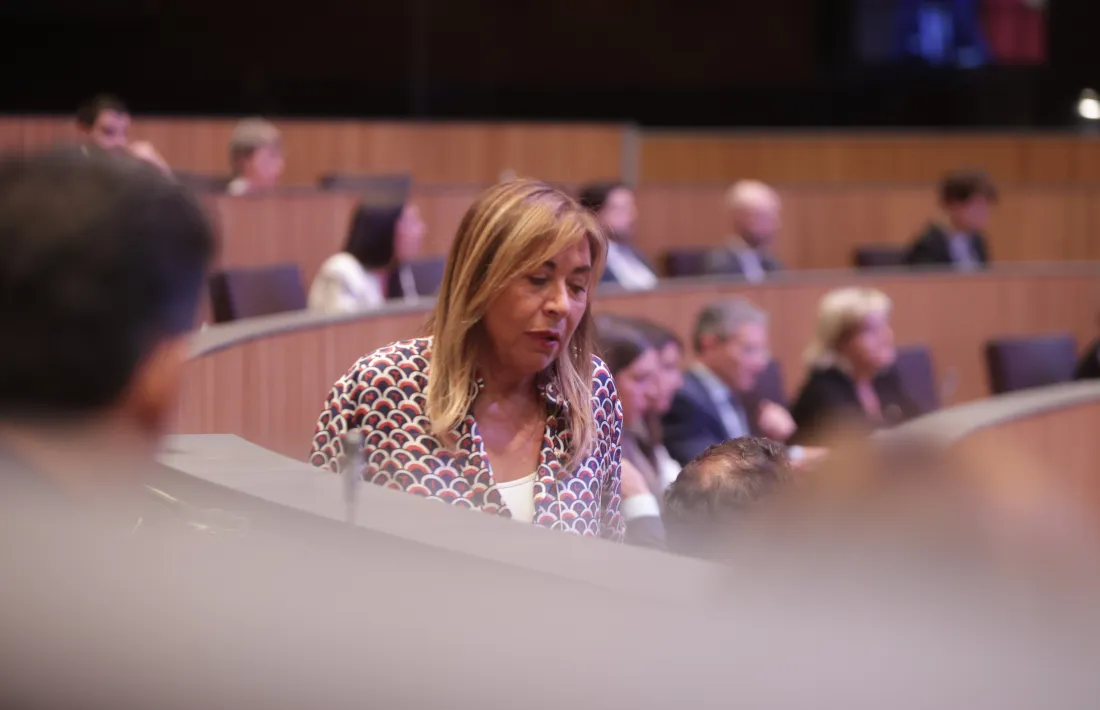 Marsol en la sessió del Consell General d'avui.