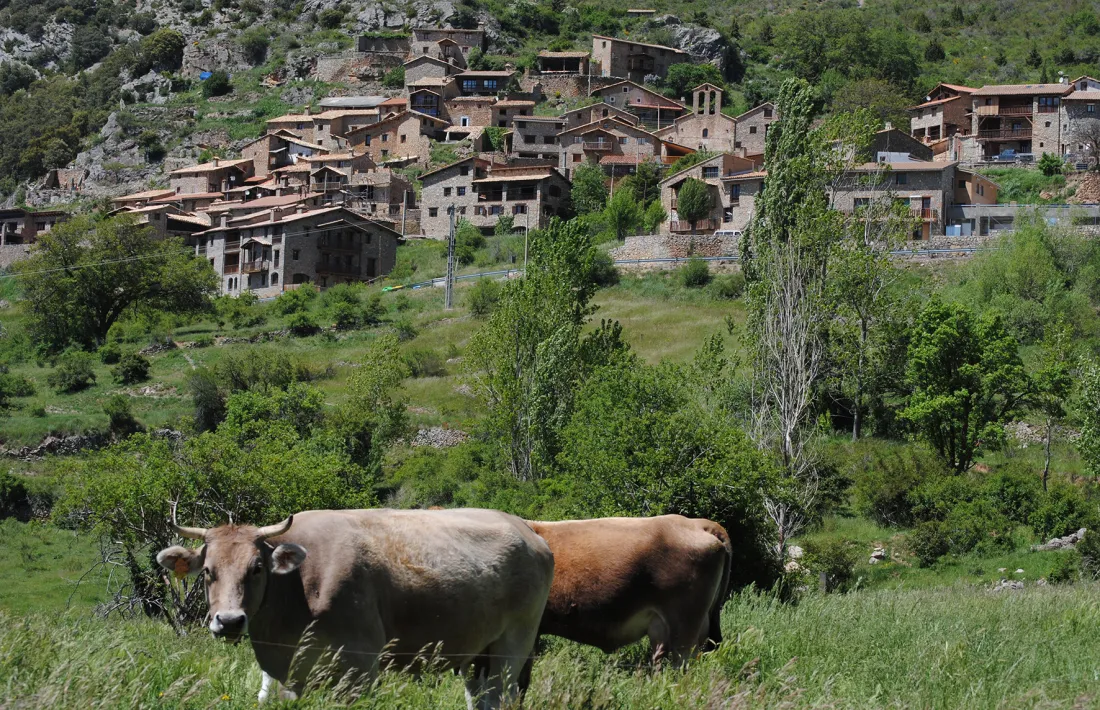 Cornellana, on tancarà el cicle sobre història. 