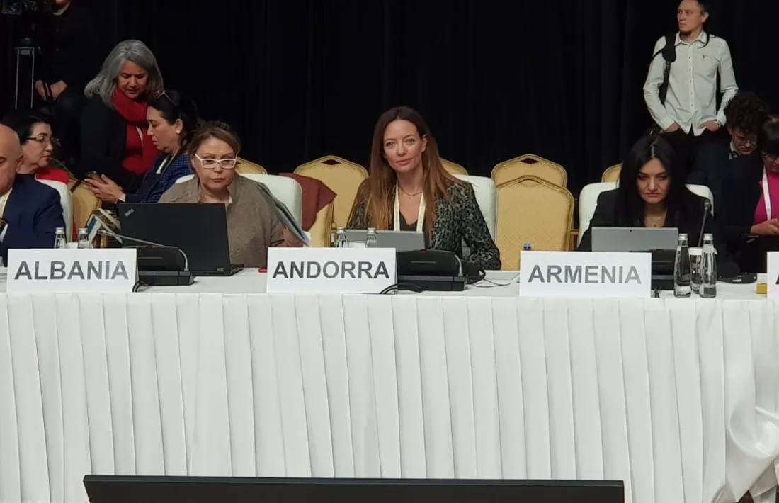 La ministra Mas en un moment de la reunió del comitè europeu de l'OMS.