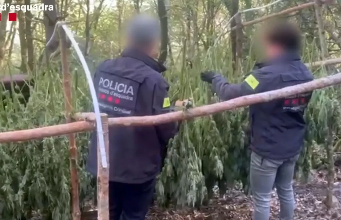 Agents, durant la intervenció. 