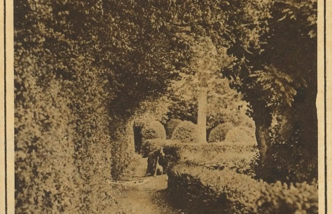 Els jardins de cal Plandolit.