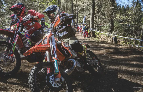 p._29_marc_font_xxmfhefinal002