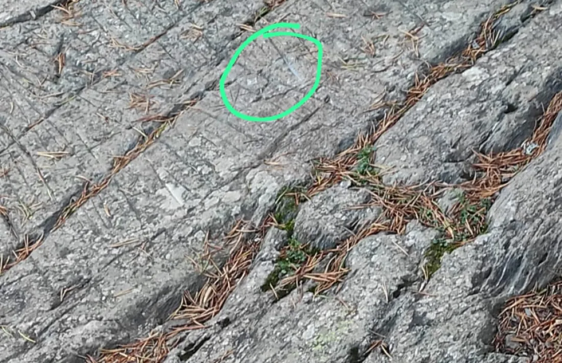 La incisió en forma de rombe perpetrada el 2022 és l’últim atac vandàlic al jaciment.