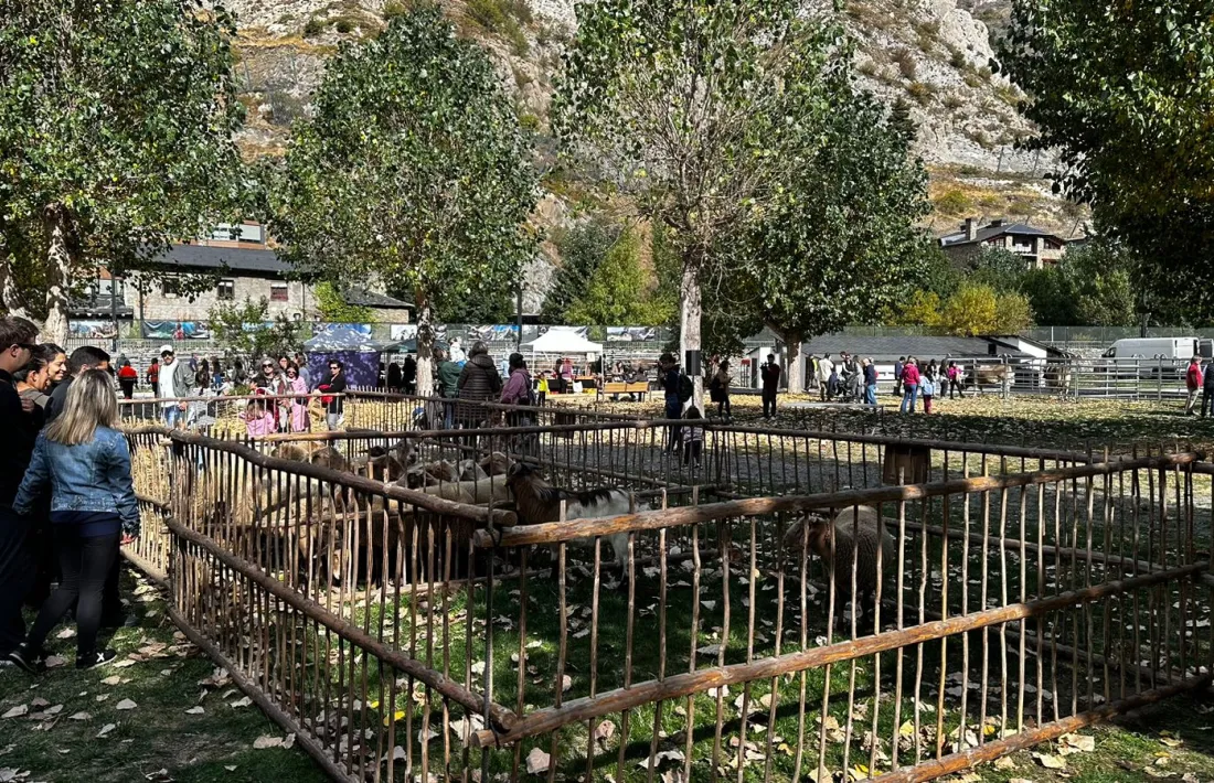 La Fira del bestiar ha tingut lloc en el terreny de l’antic Càmping Pla els darrers anys.