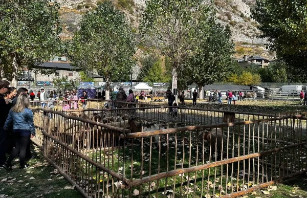 photo_15-10-23_14_07_52