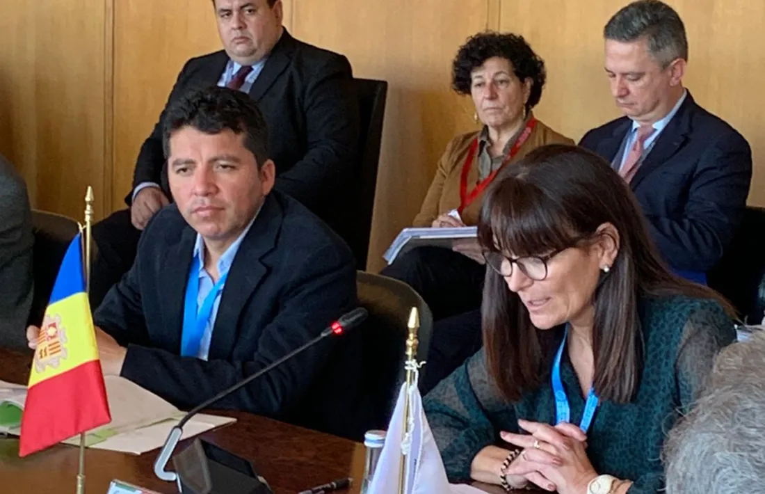  Mònica Bonell durant la seva intervenció al Congrés iberoamericà de cultura.